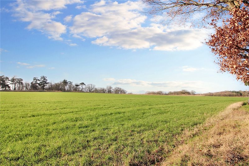 School Road, Bergh Apton, Norwich, Norfolk, NR15