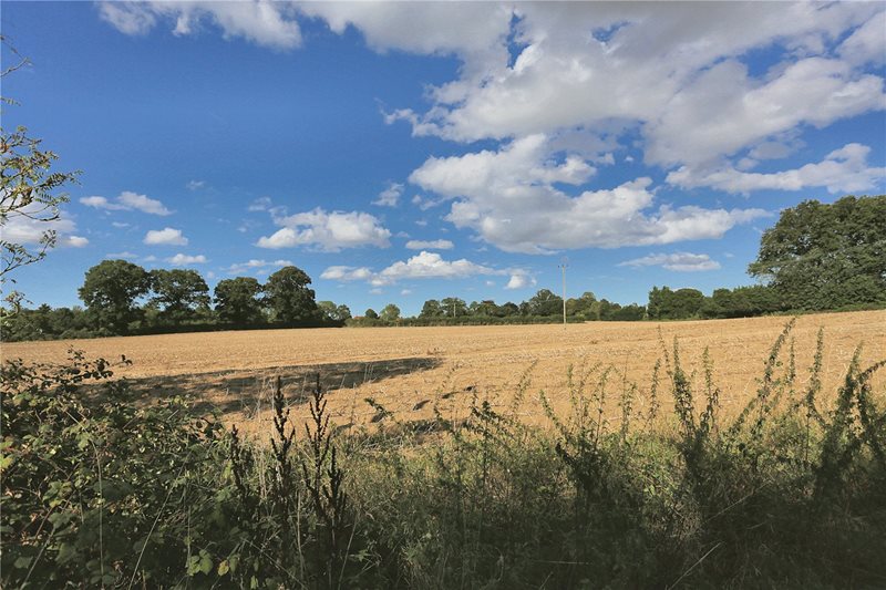 Lower Globe Lane, Blofield, Norwich, Norfolk, NR13