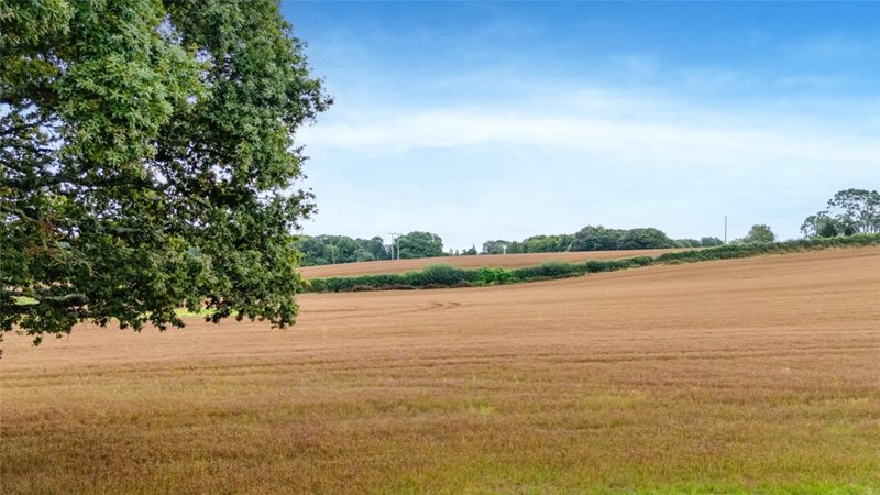 Holt Lane, Holt, Wimborne, Dorset, BH21