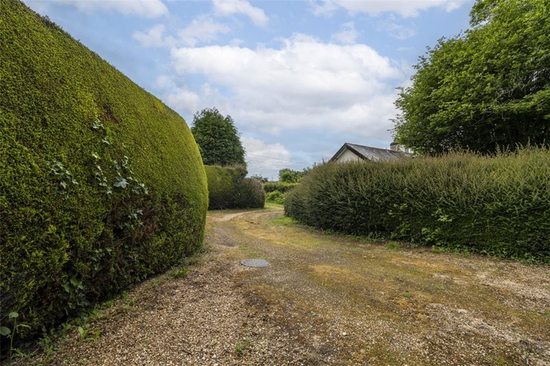 Gaunts Common, Wimborne, Dorset, BH21